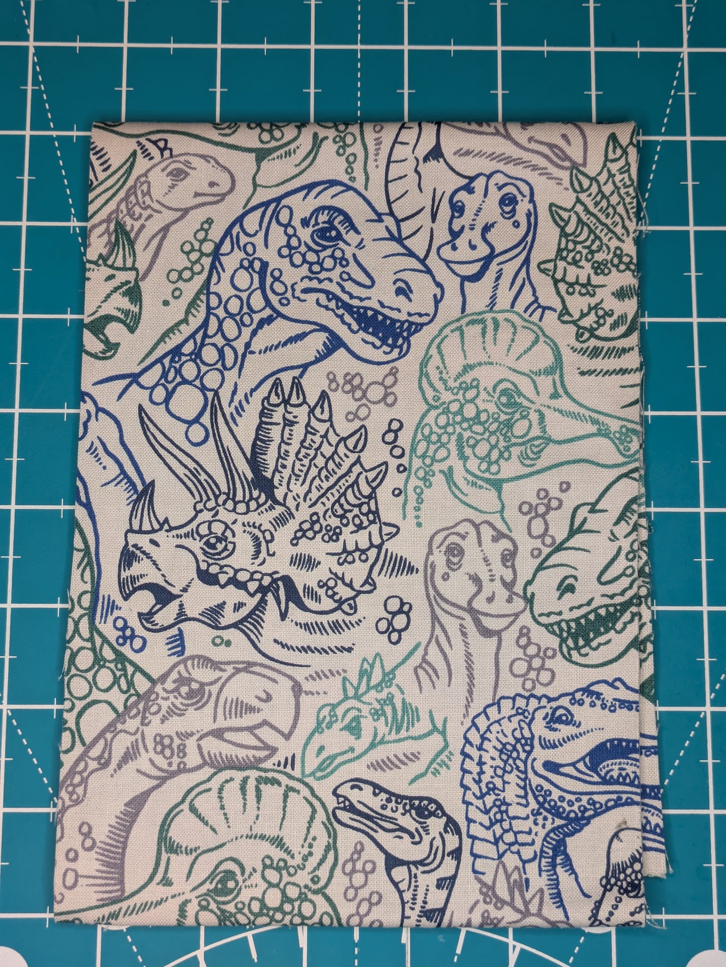 Blue Dinosaur Fabric Choice