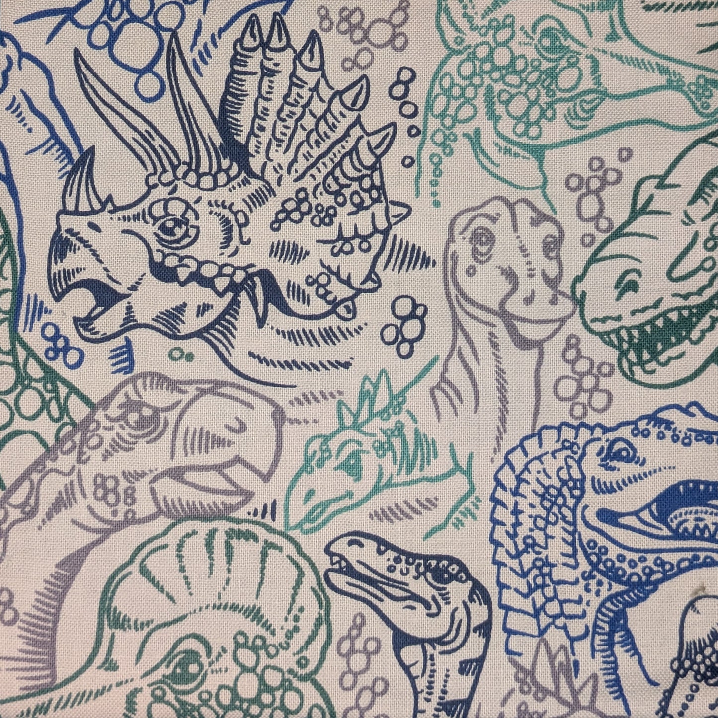 Blue Dinosaur Fabric Choice