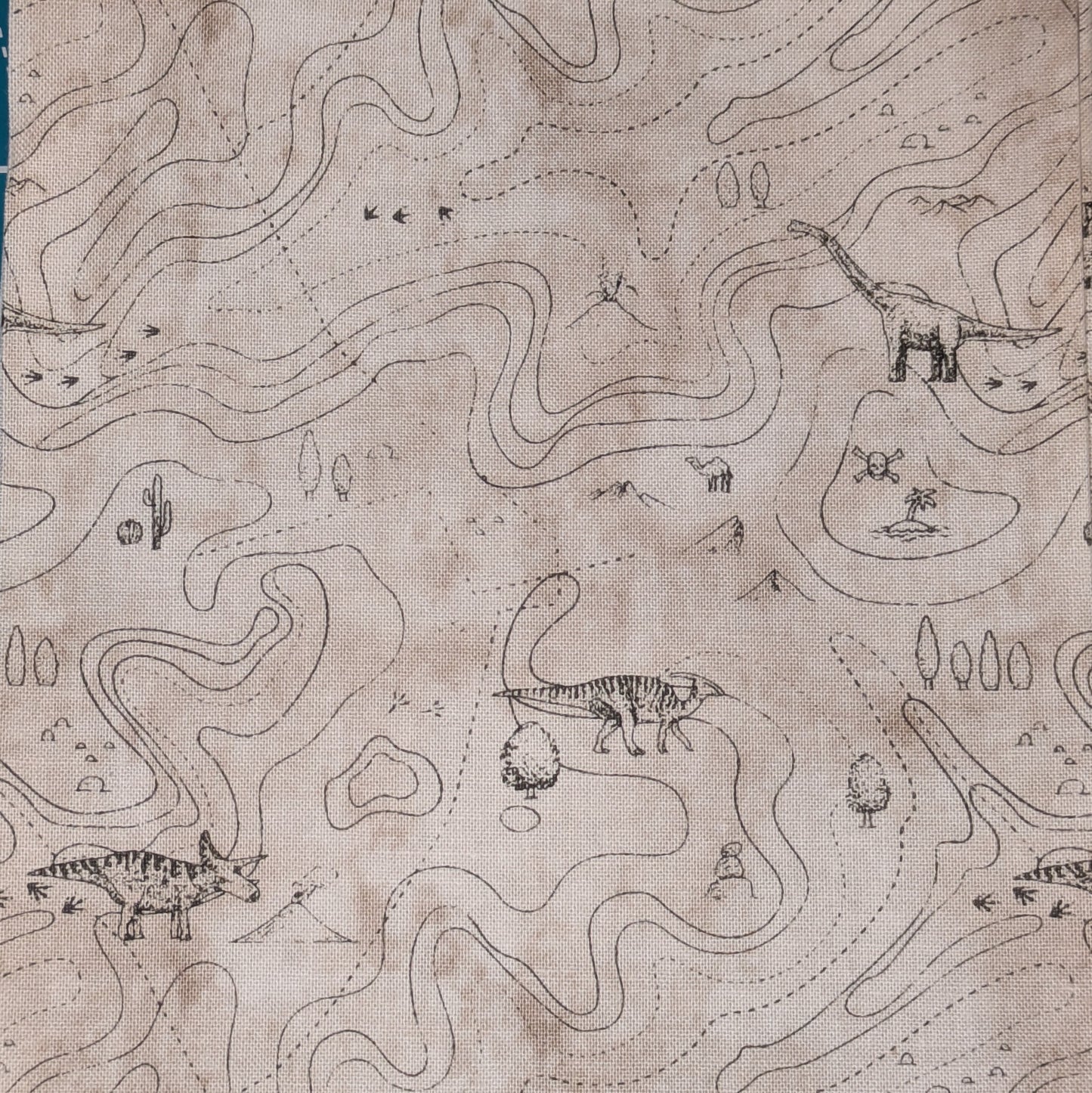 Cream Dinosaur Fabric Choice